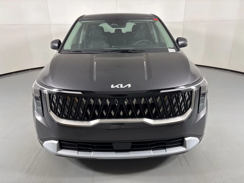 New 2026 Panthera Metal Kia LXS image 3