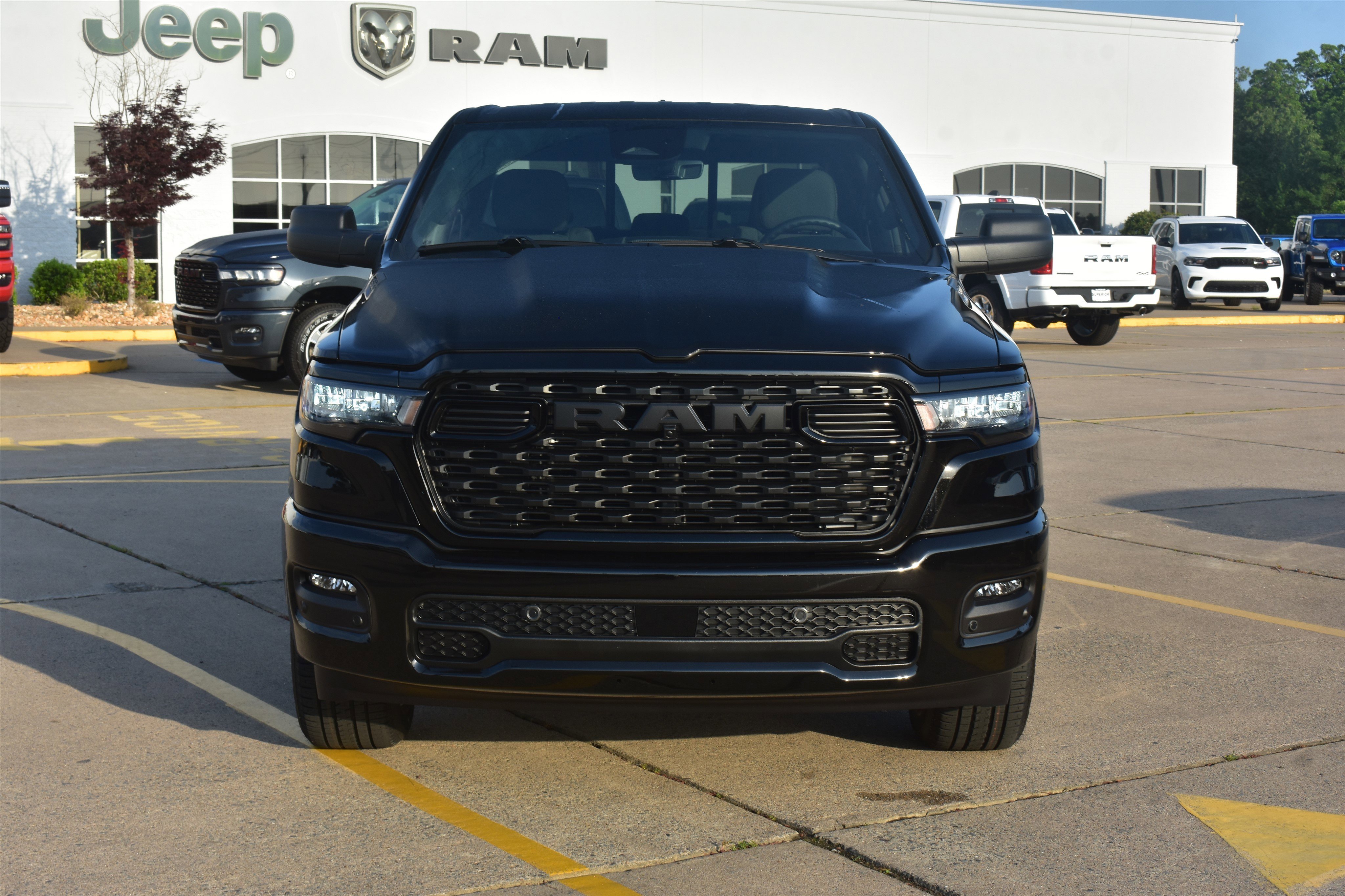 New 2026 Diamond Black Crystal Pearl-Coat Exterior Paint RAM Express image 2