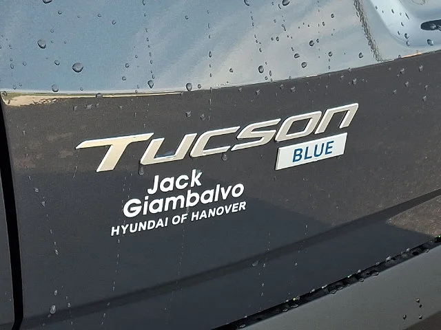 New 2026 Gray Hyundai Blue SE image 19