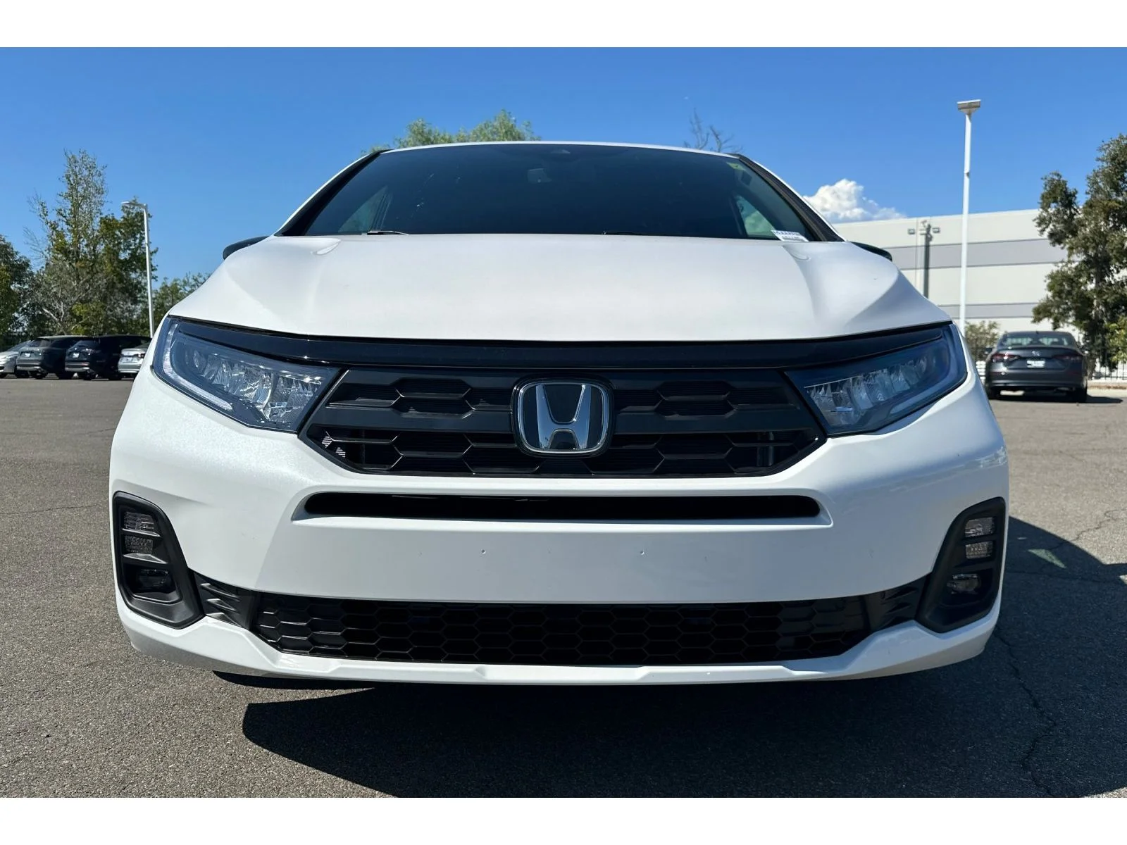 Used 2026 Platinum White Pearl Honda Sport-L image 9