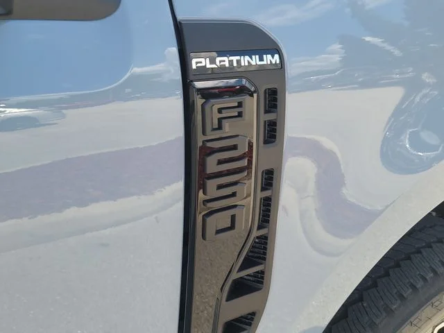 New 2026 Gray Metallic Ford Platinum image 9