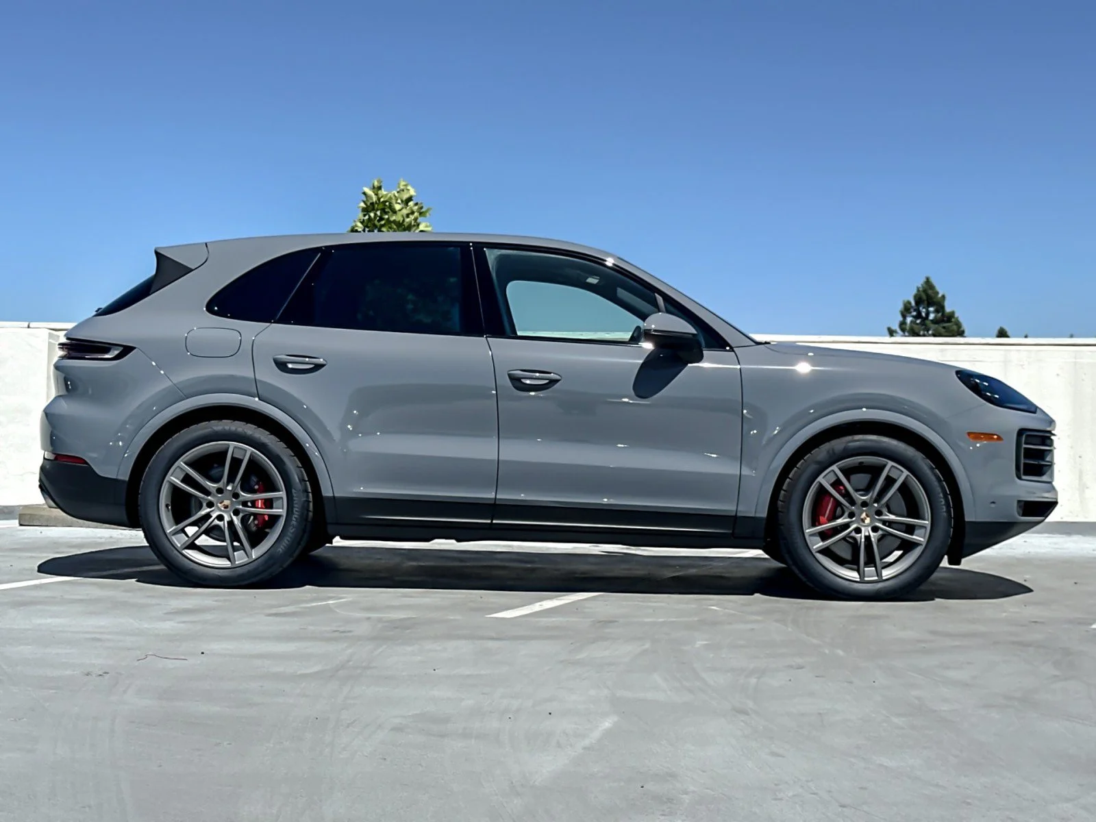 New 2026 Arctic Grey Porsche S image 9