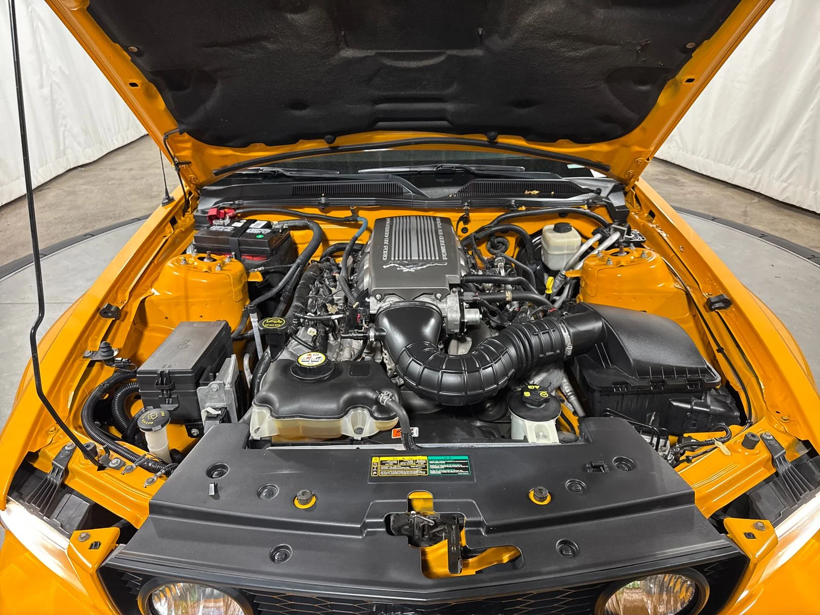 Used 2007  Ford GT Premium image 26