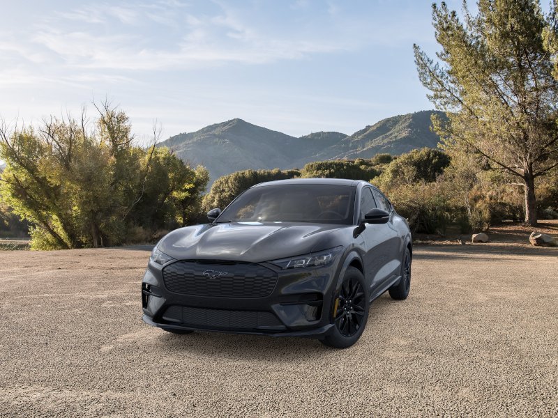 New 2026 Shadow Black Ford Premium image 30