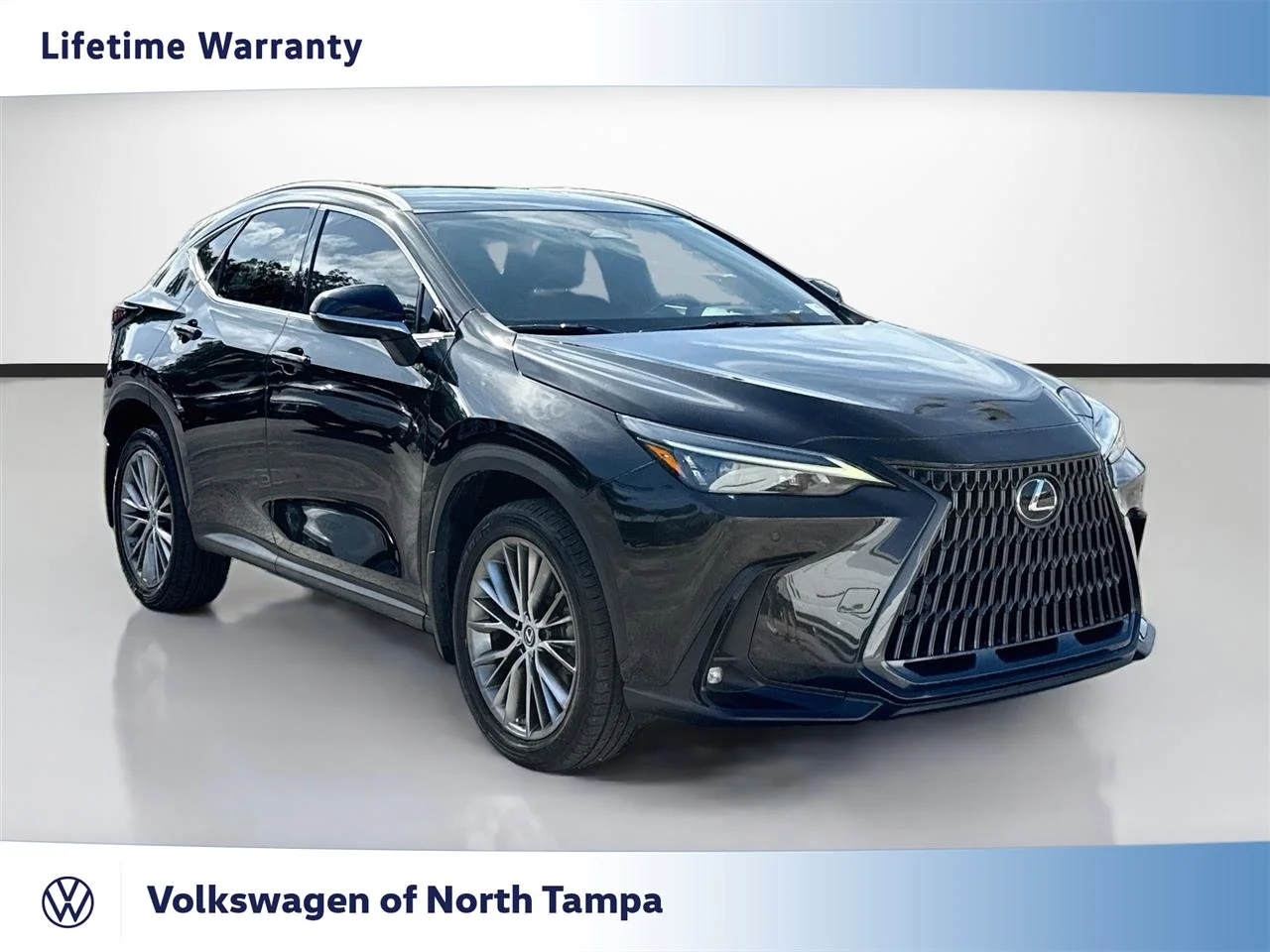 2023 Lexus NX Hybrid
