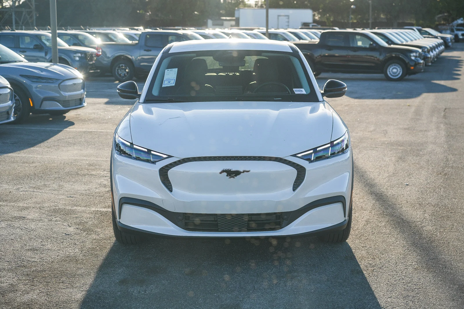 New 2026 Star White Metallic Tri-coat Ford Select image 4