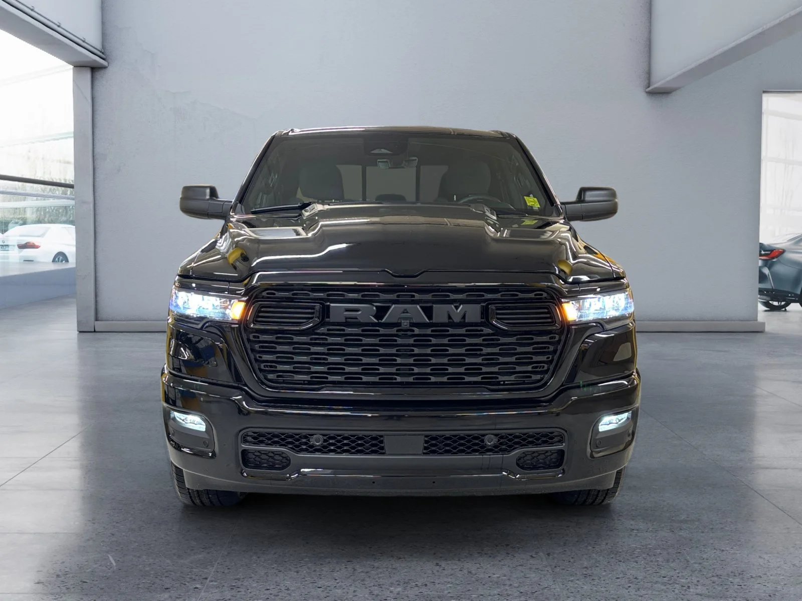 New 2027 Diamond Black Crystal Pearl Ram Express image 8