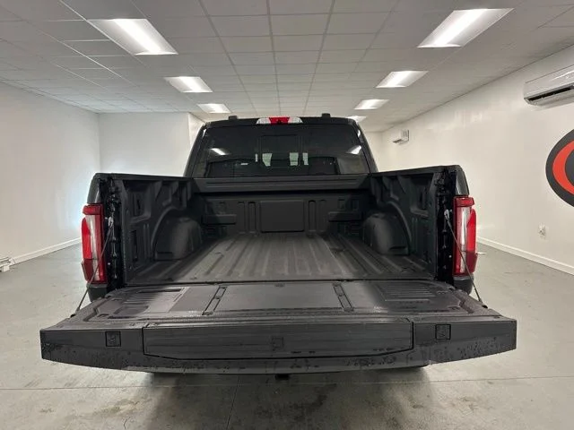 Used 2024 Black Ford Platinum image 7