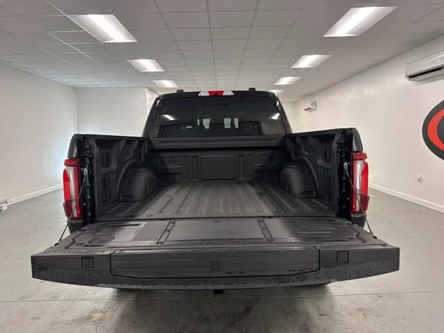 Used 2024 Black Ford Platinum image 7