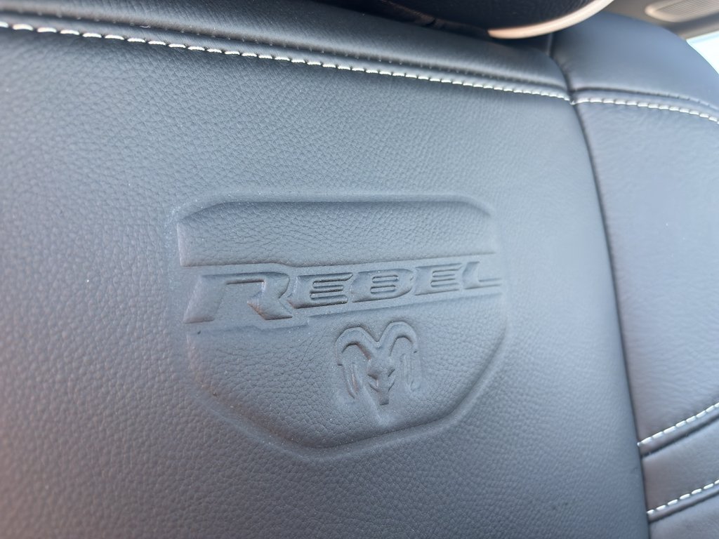 New 2026 Silver-Zynith Exterior Paint RAM Rebel image 29