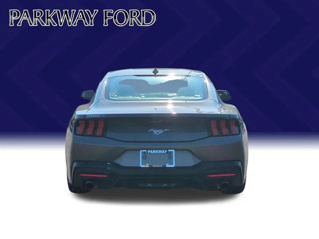 Used 2024 Gray Ford EcoBoost image 4