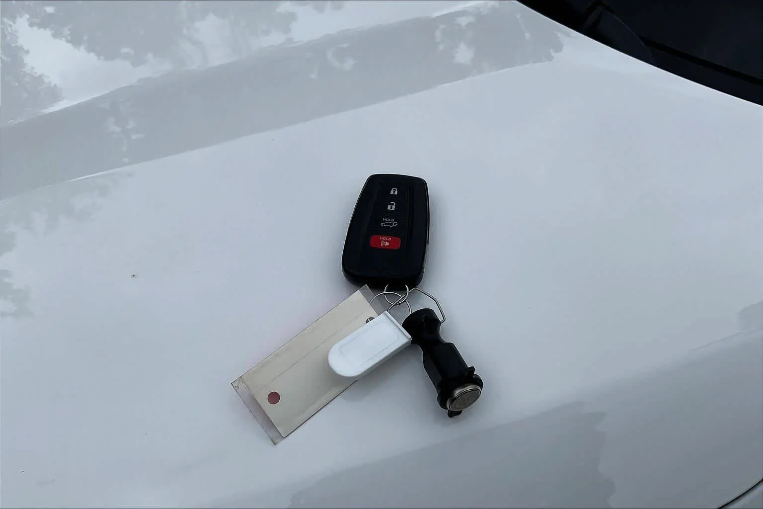Used 2025 Ice Cap Toyota XLE image 15