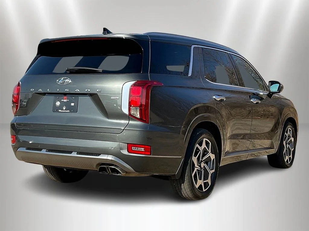 Used 2022 Rainforest Hyundai Calligraphy image 6