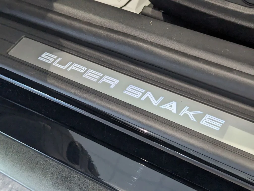 New 2025 Black Ford SUPER SNAKE image 14