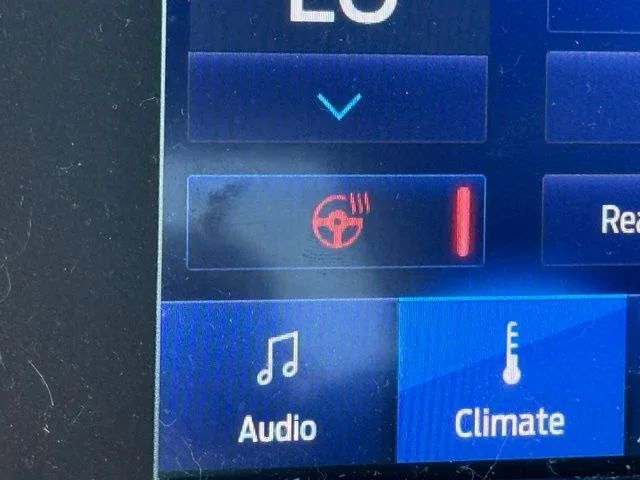 Used 2019 White Ford Lariat image 24