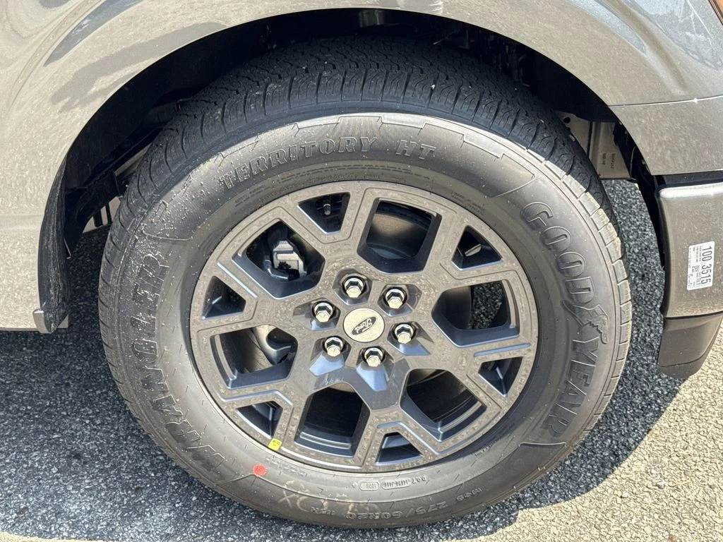 New 2026 Gray Ford STX image 12