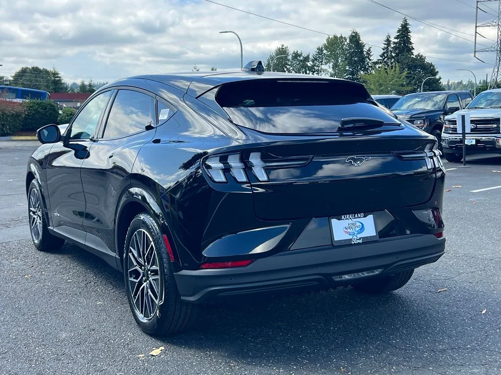 New 2026 Shadow Black Ford Premium image 10