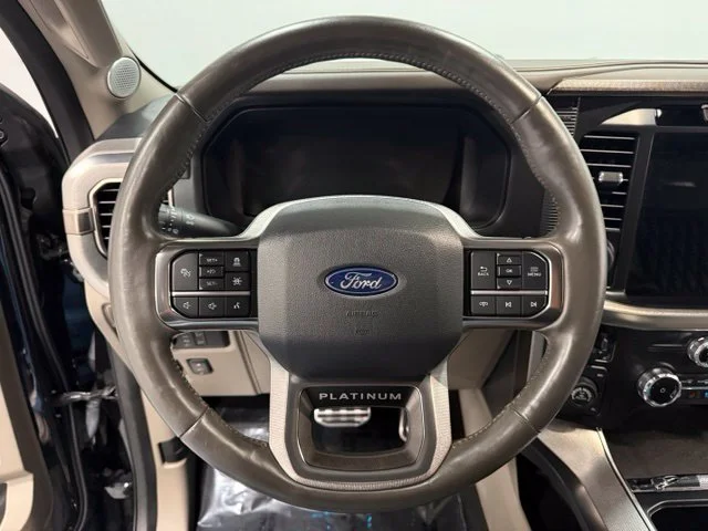 Used 2024 Black Ford Platinum image 17
