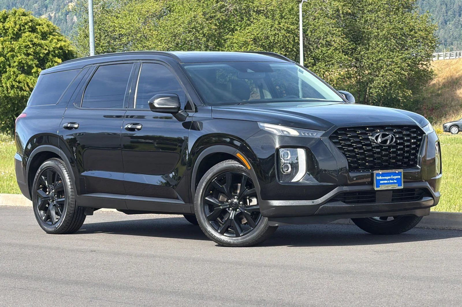 2020 Hyundai Palisade SEL FWD's photo
