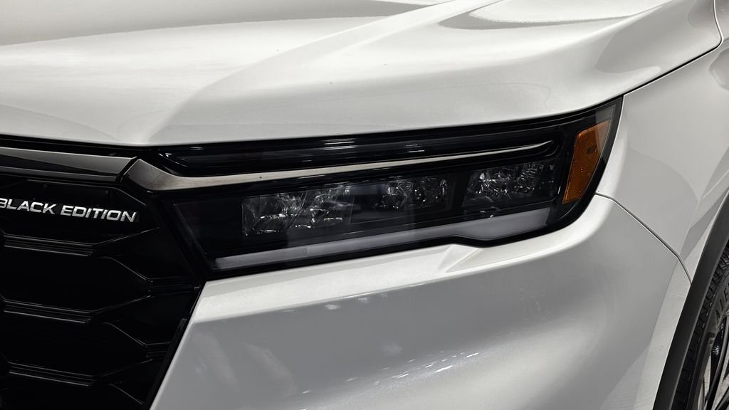 Used 2025 White Honda Black Edition image 4