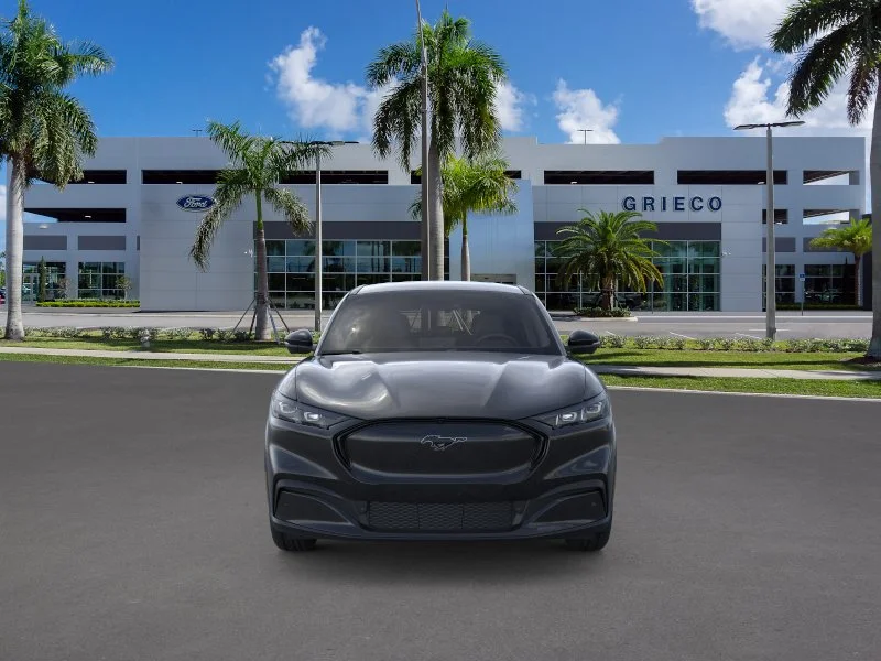 New 2026 Shadow Black Ford Premium image 21