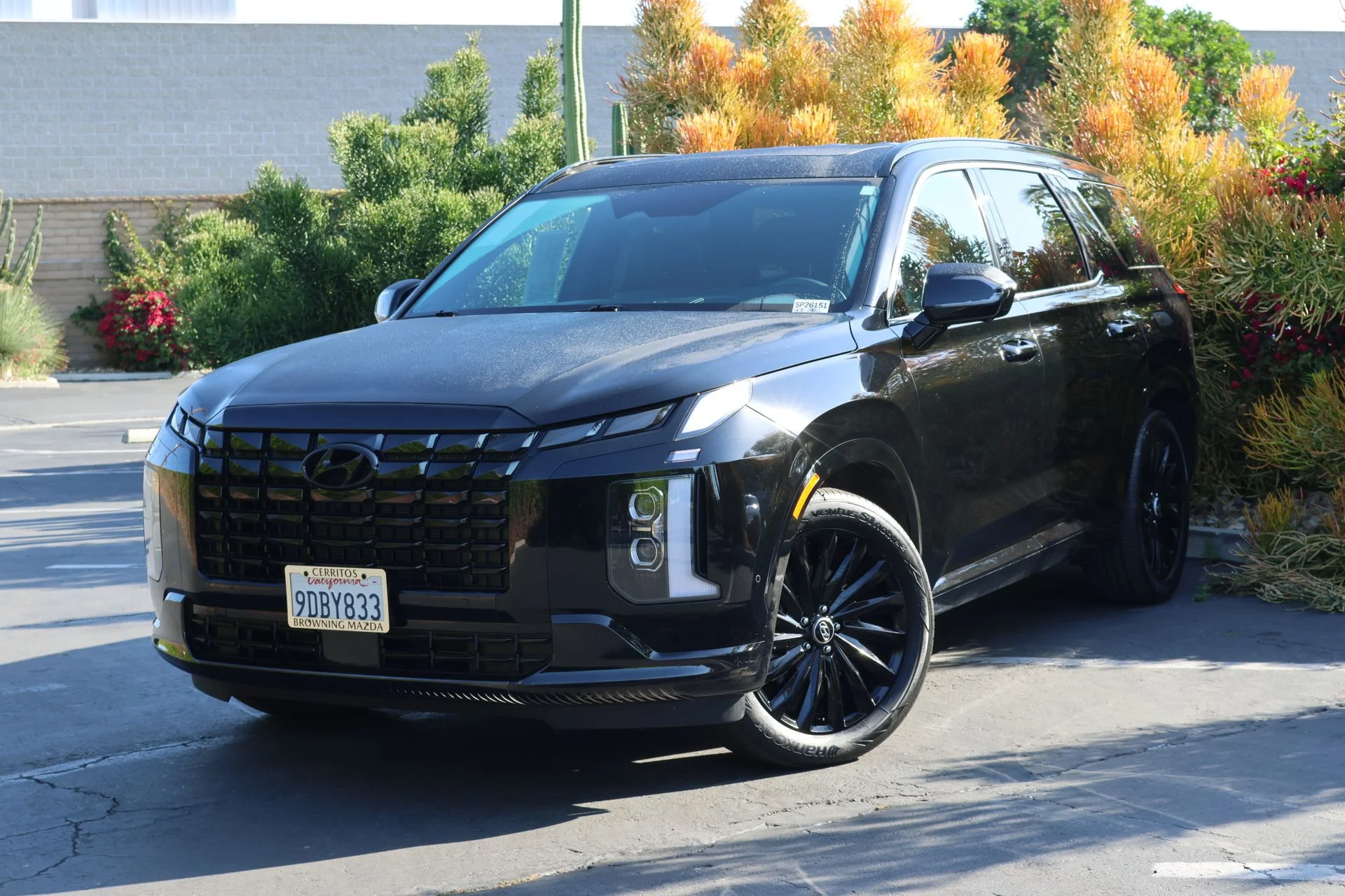2025 Hyundai Palisade Calligraphy Night Edition AWD's photo