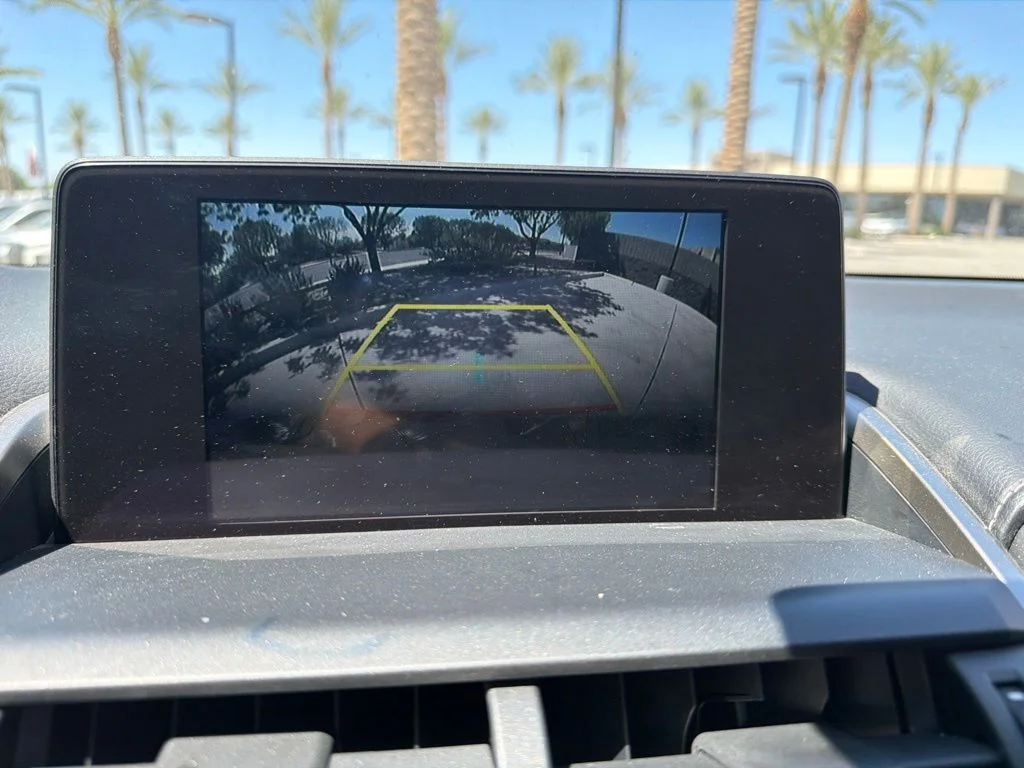 Used 2019 Black Lexus 300 Base image 12