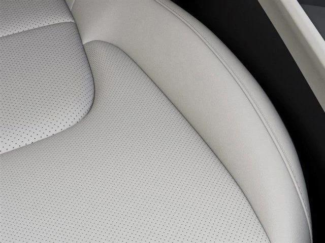 New 2026 Panthera Metal Gray Kia EX image 24