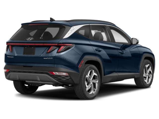 Used 2024 Black Pearl Hyundai Limited image 5