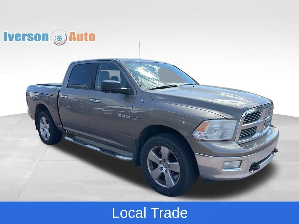Used 2009 Beige Dodge SLT image 6
