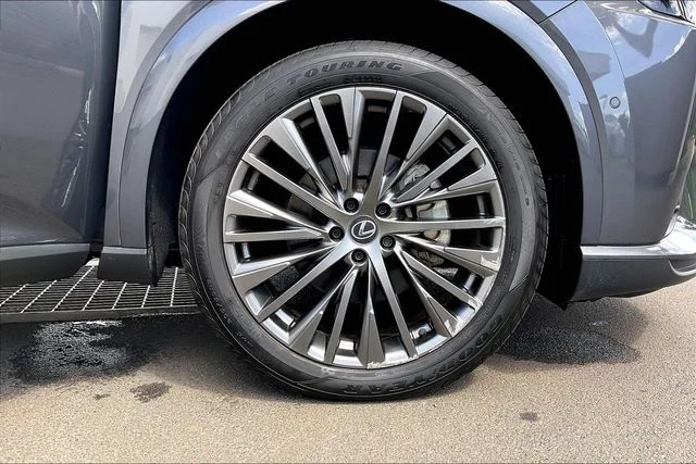 2025 Lexus RX 350 - Photo 9