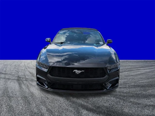 New 2026 Shadow Black Ford EcoBoost® Premium Convertible image 9