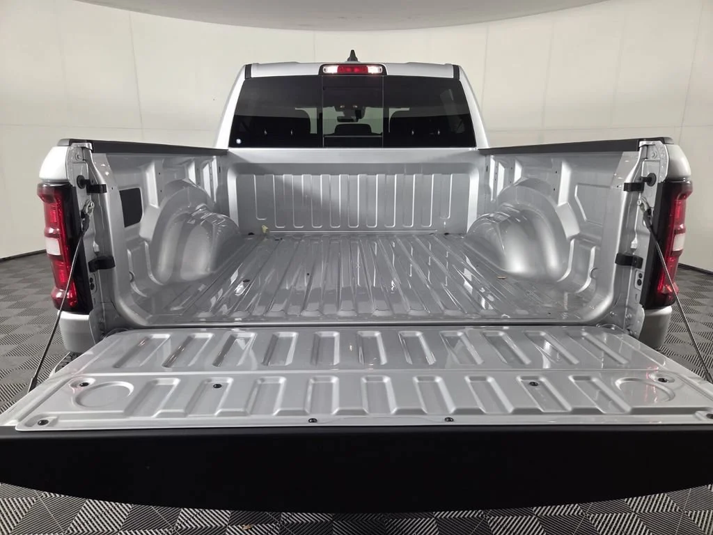New 2026 Silver Zynith Exterior Paint RAM Express image 20