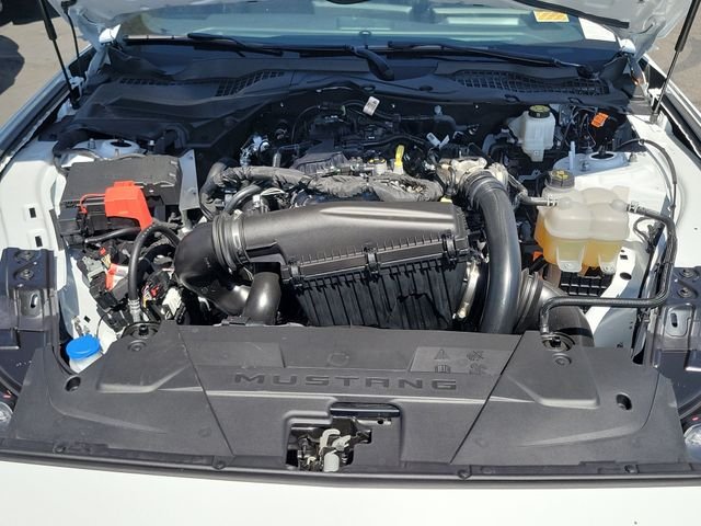 Used 2026 Oxford White Ford EcoBoost image 21