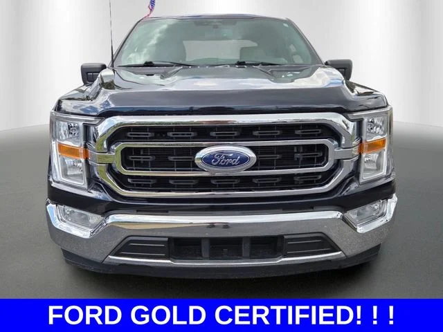 Certified Used 2023 Blue Metallic Ford XLT image 8