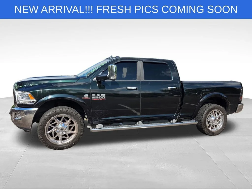 Used 2015 Green Ram Laramie image 3