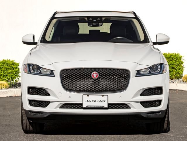 Used 2019 Fuji White Jaguar 25t Premium image 3