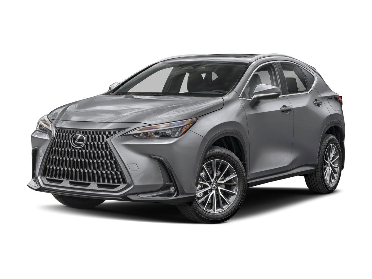 2024 Lexus NX 350h 350h AWD's photo