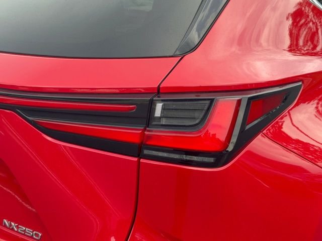 Certified Used 2024 REDLINE Lexus 250 Base image 10