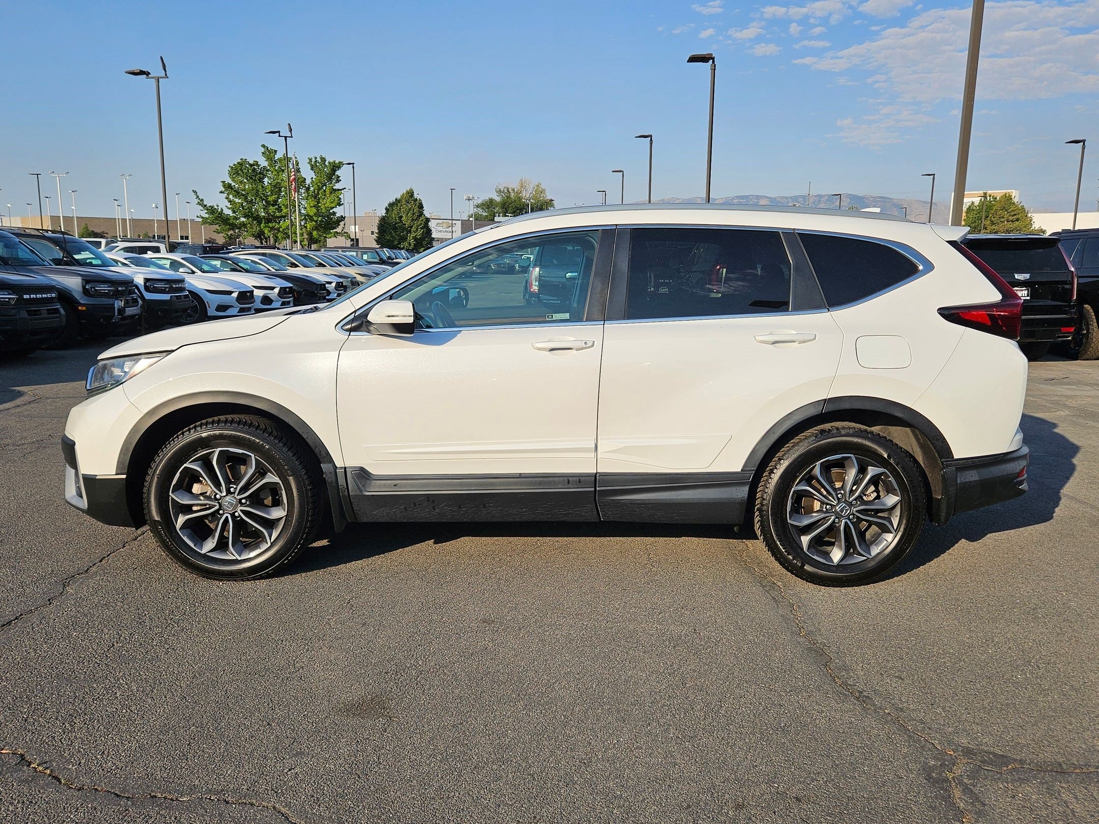 Certified Used 2020 White Honda EX-L image 7