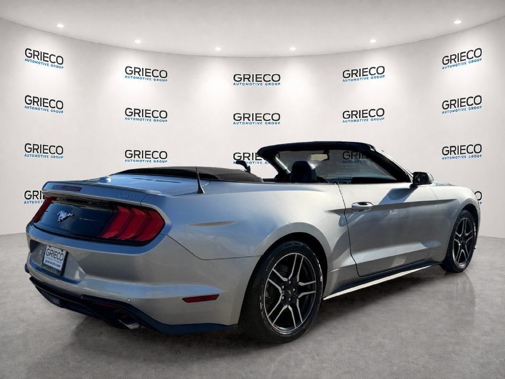Used 2020 Silver Ford EcoBoost Premium image 7