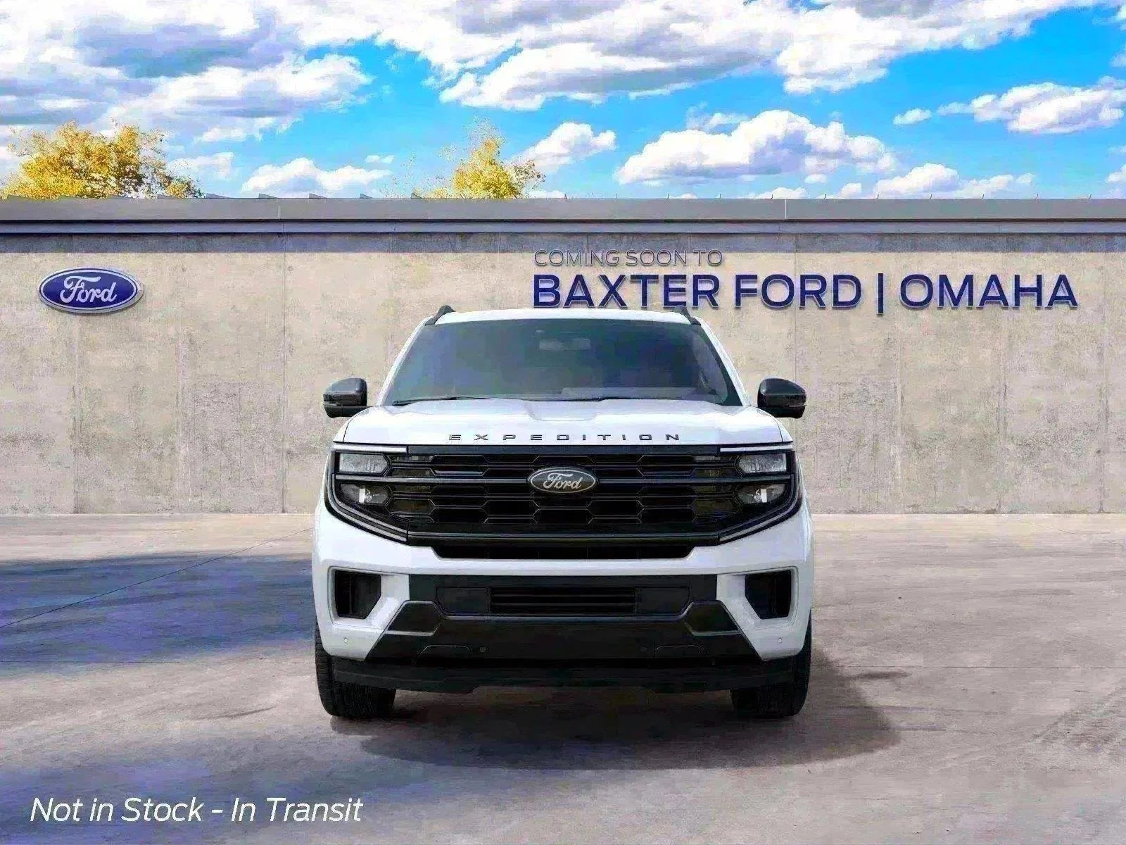 New 2027 Star White Ford Platinum image 59