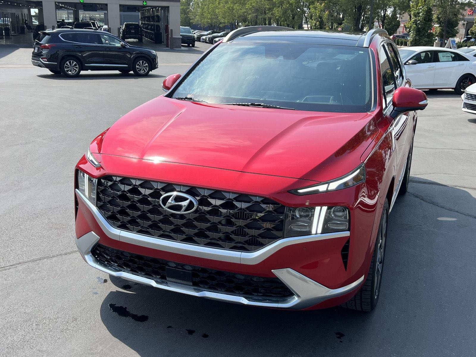 Used 2022 Calypso Red Hyundai Calligraphy image 10
