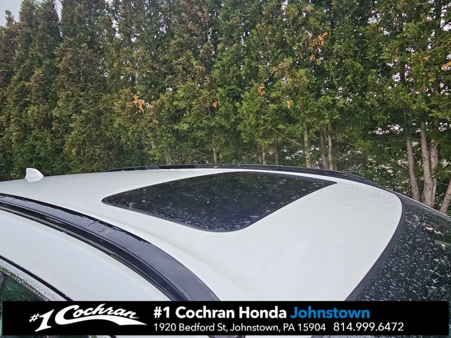 Used 2024 Platinum White Pearl Honda Sport-L image 11