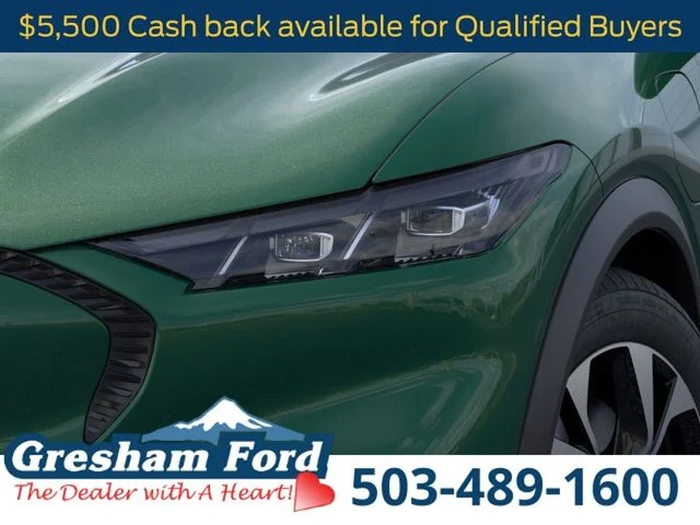 New 2026 Eruption Green Metallic Ford Select image 21