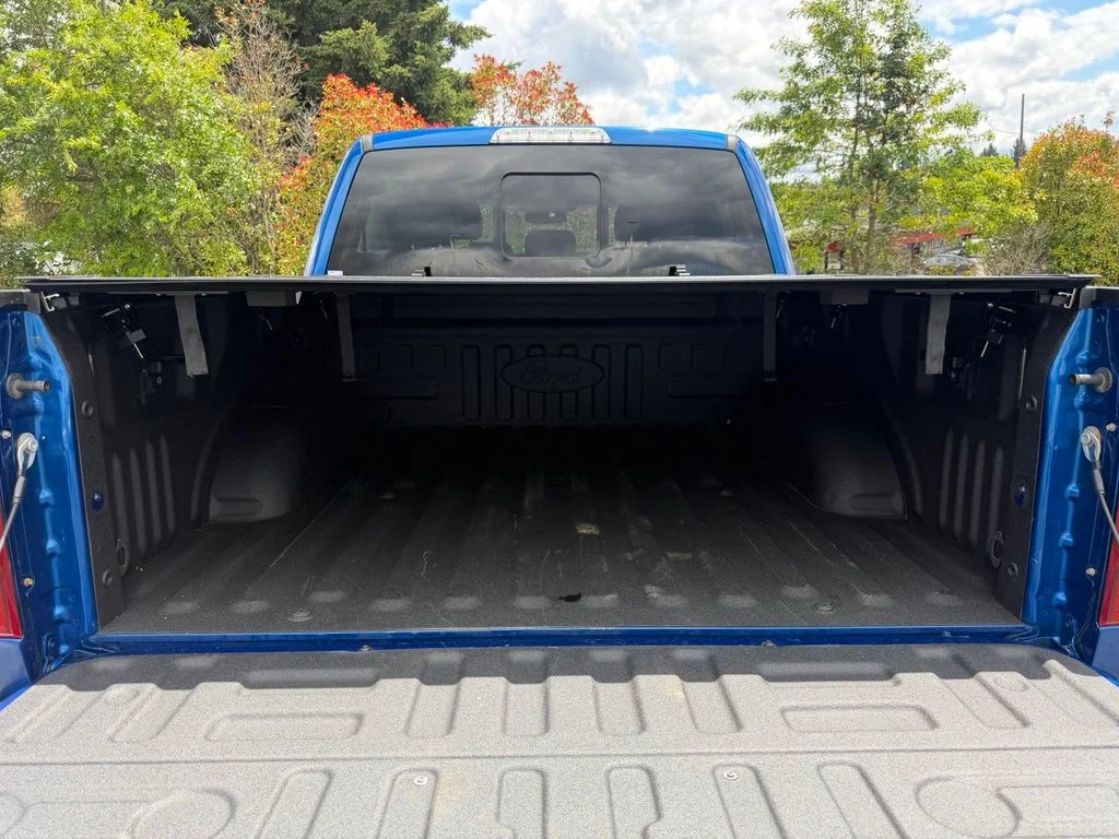 Used 2018 Lightning Blue Ford Raptor image 11
