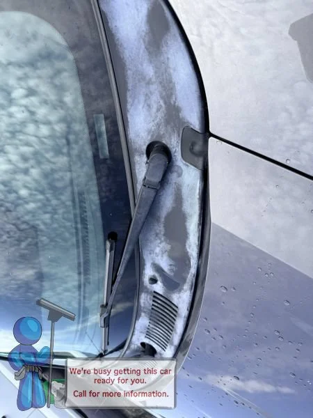 Used 2003 Dark Shadow Grey Metallic Ford SVT Cobra image 4