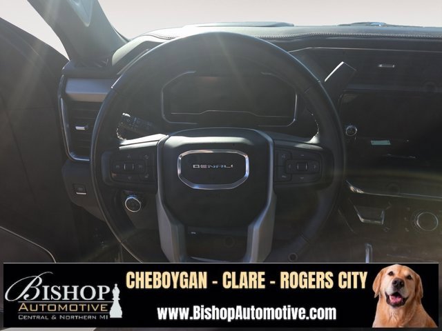 2024 Gmc Sierra 2500 HD Denali photo 4