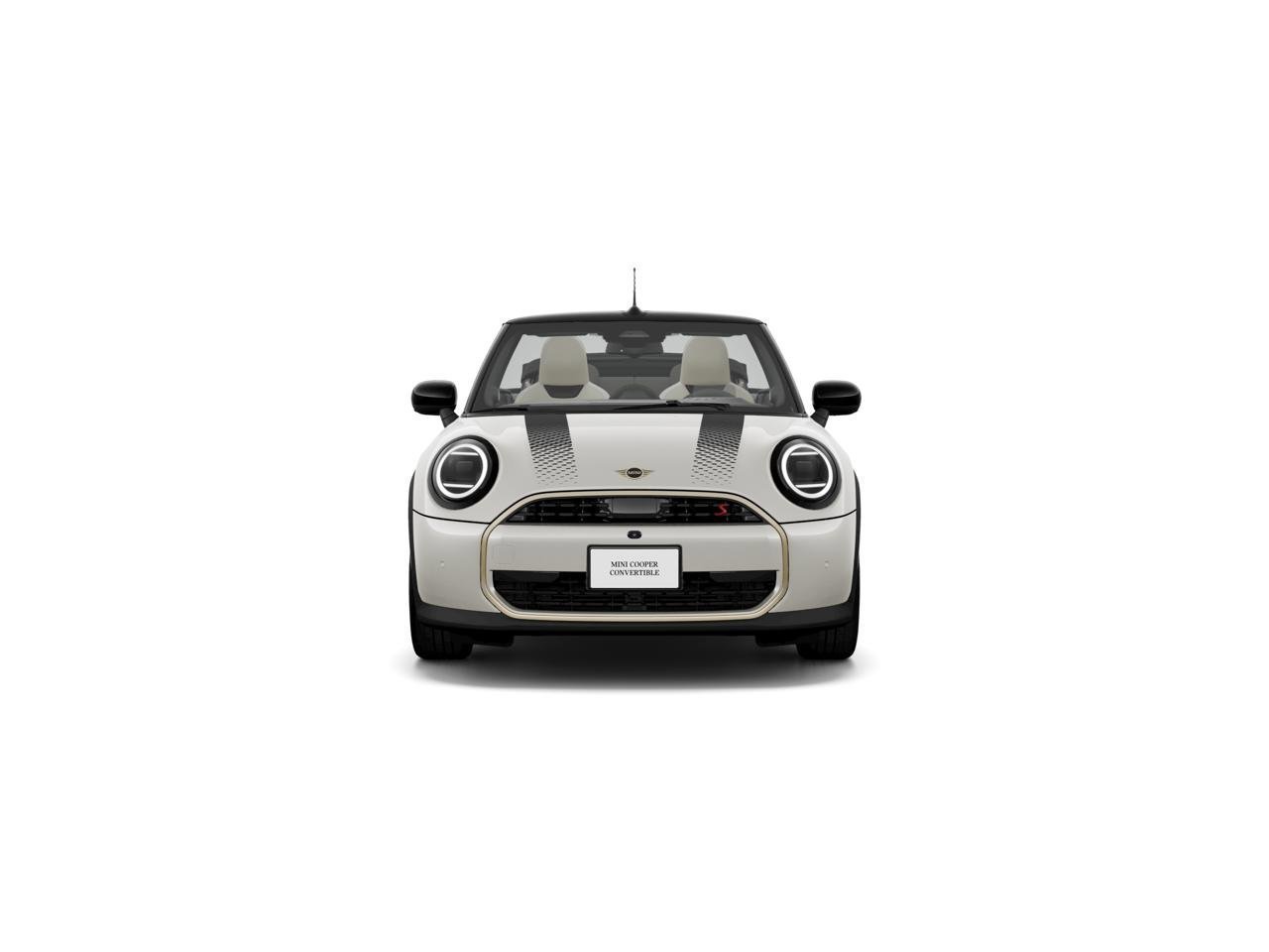 New 2026 Nanuq White Metallic MINI ICONIC image 2