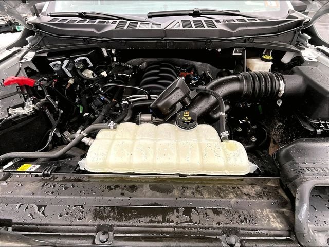 Used 2024 White Ford XLT image 10